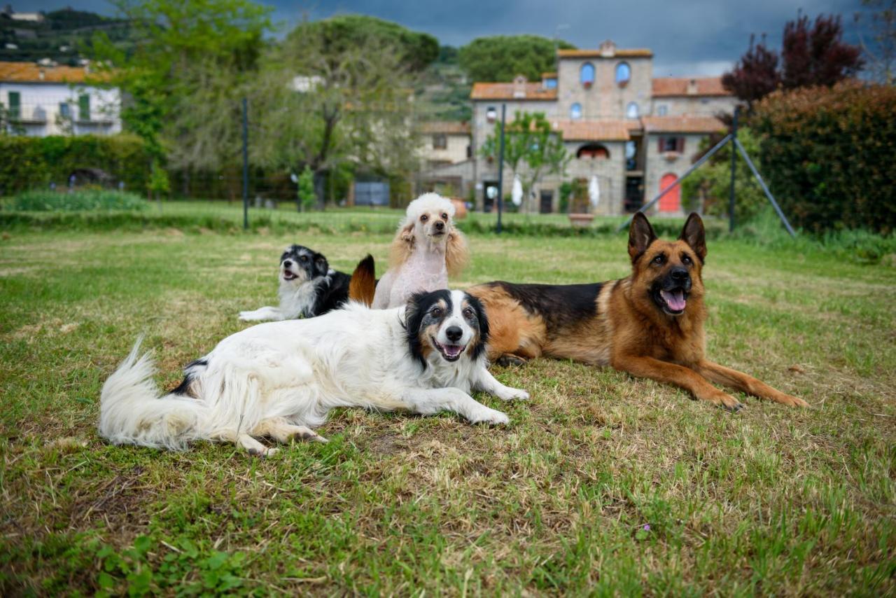 Monastero San Silvestro Farm stay Cortona